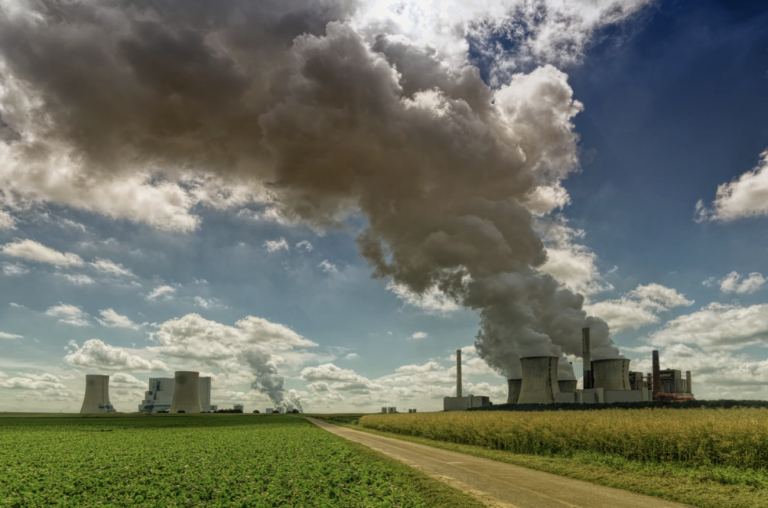 What Is MRV in Carbon Markets? A Complete Guide for Businesses in 2026