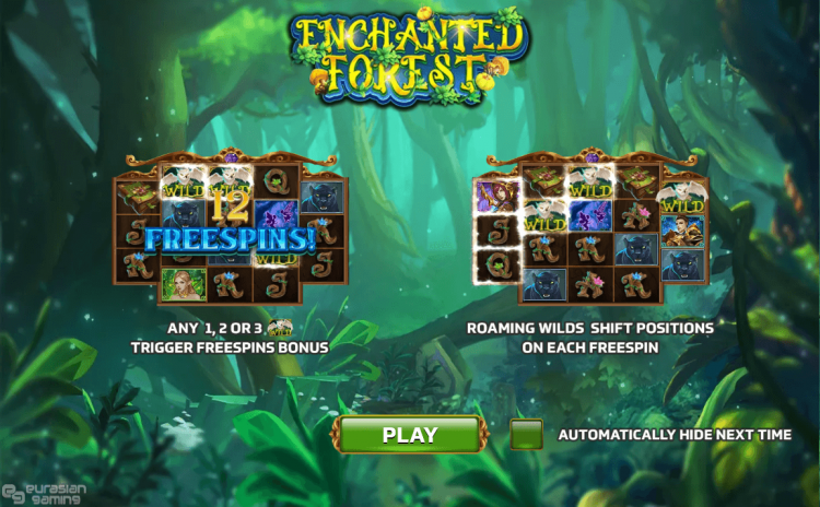 Enchanted Forest