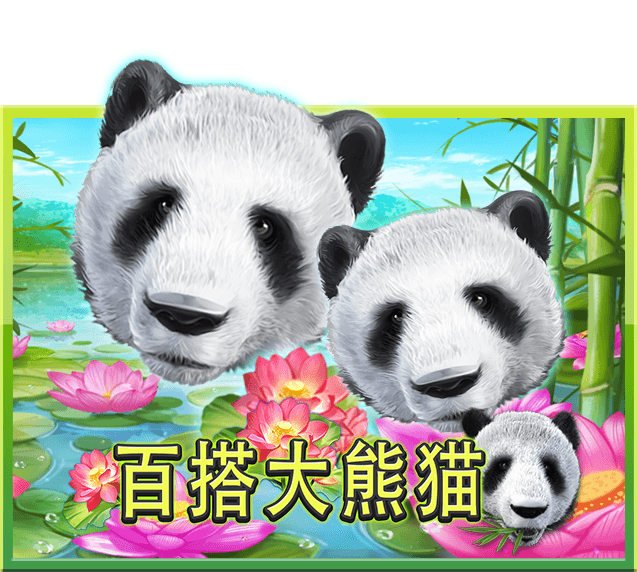 百搭大熊猫